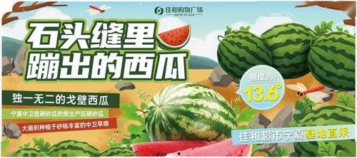 吃瓜每日大赛今日热门视频